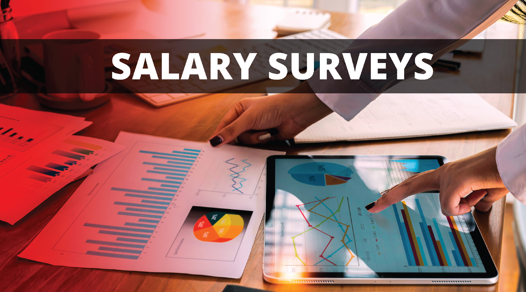 salary surveys