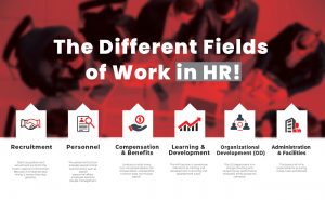 the different field of work in HR recruitment personnel compensation and benefits learning and development organization development administration and facilities 