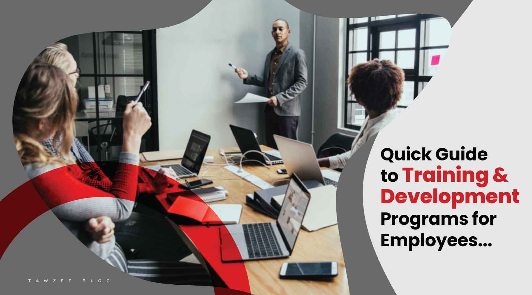 quick guide to training and development programs for employees